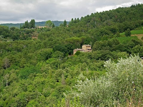 Selvabella in Chianti