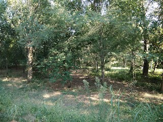 Parco Bovolino