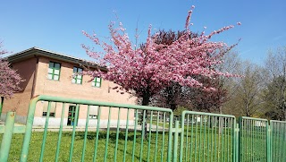 Scuola Elementare Di Vittorio