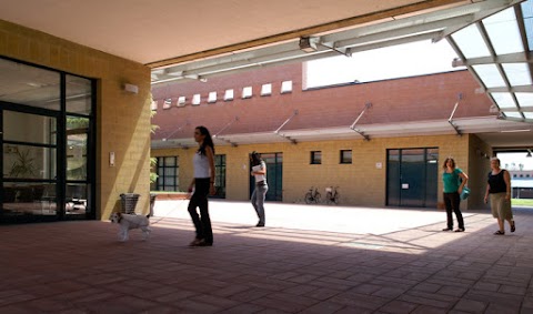 Facoltà di Medicina Veterinaria