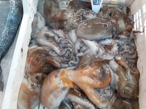 Pescheria COSTA VIOLA Reggio Calabria