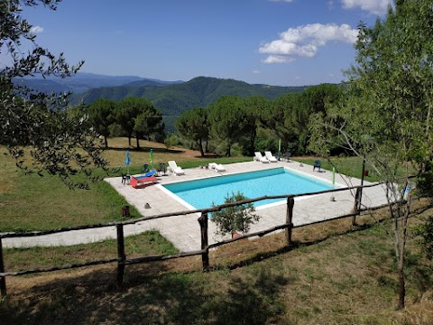 Agriturismo Fattoria di Cintoia