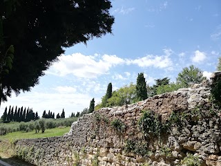 Villa L'Oliveta