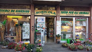 Agricola Vitinia Roma