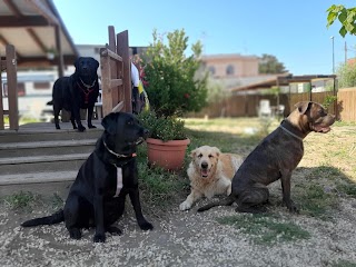 Centro di Educazione del Cane CANI ED EMOZIONI