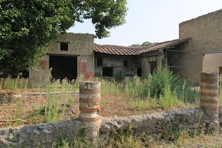 Casa dell'Atrio a Mosaico