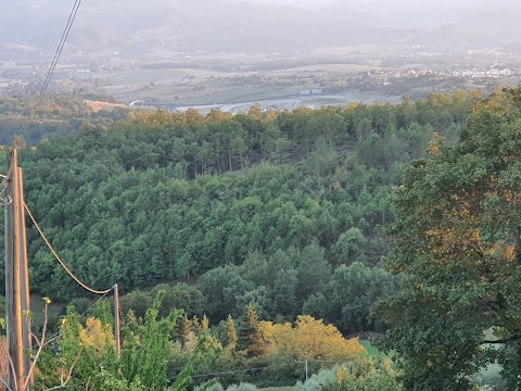 Azienda Agricola L'Aia di Martino