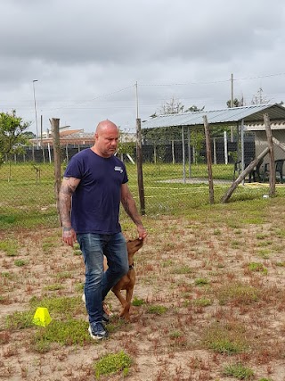 CENTRO CINOFILO DOGMAN di Alberto Bacchi