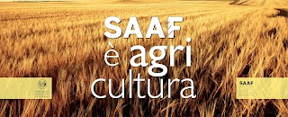 Dipartimento di Scienze Agrarie, Alimentari e Forestali