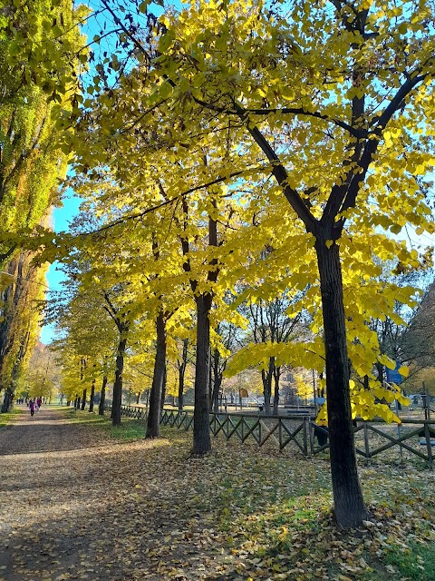 Parco Pubblico Pellerina