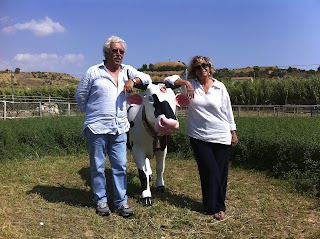 Tenuta Bartoli Maison de Charme