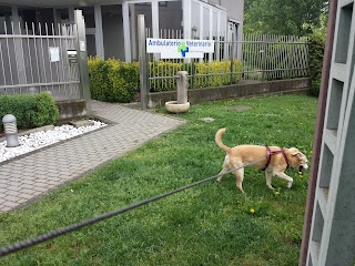 Ambulatorio Veterinario di Serena Famà