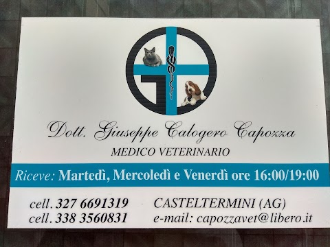 Dott.Giuseppe Calogero Capozza Medico Veterinario