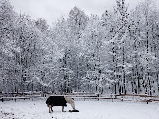 LA CUCCIA NEL BOSCO