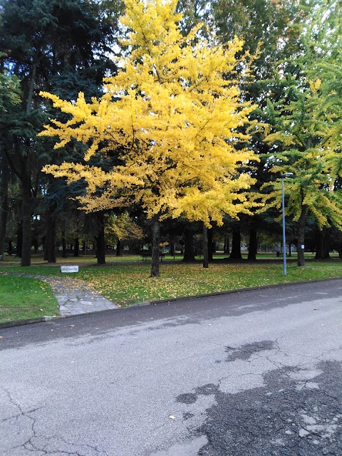 Centro Sportivo Enrico Mattei