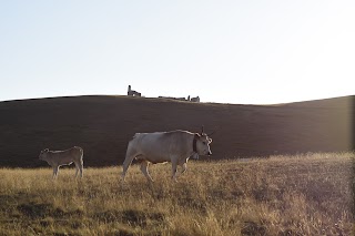 Gran Sasso Guides