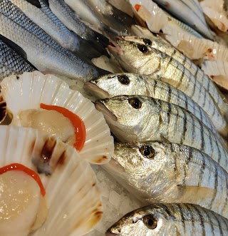 Pescheria Brugiolo di Ferrara Andrea