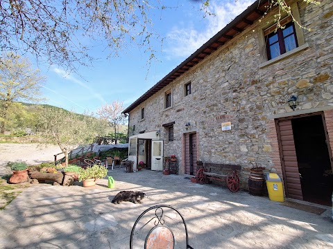 Agriturismo Massoserpente