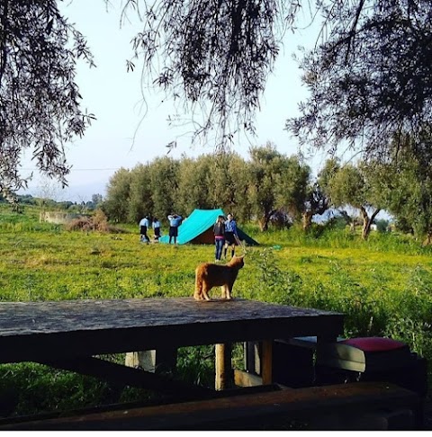 Maneggio Scuola Equitazione Passeggiate a Cavallo Vento Dell'Est