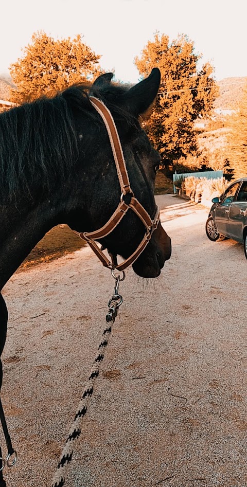 Centro Equestre Villa Mary