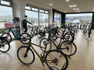 LovBike - Legnago by F.lli Lovato - Bianchi, Scott e Bergamont Store