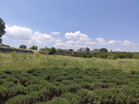 Conservatorio botanico "I giardini di Pomona"