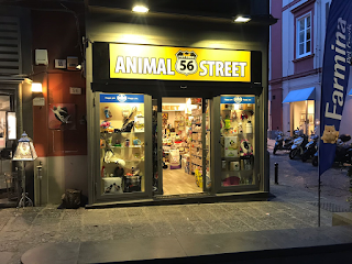 56 Animal Street