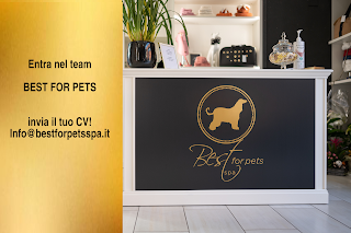 Best For Pets Spa Costituzione