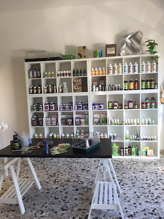 Botanica Urbana Grow Shop Noventa di Piave