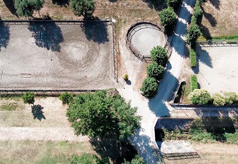 Scuola di equitazione La Querce