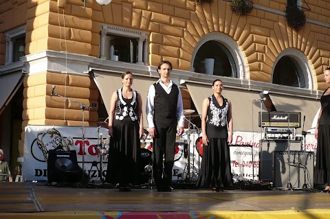 A.S.D. Viento Flamenco (Sede di Trieste)