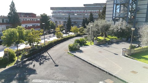 Università degli Studi di Catania - Dipartimento di Matematica e Informatica