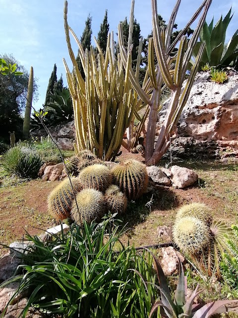 Giardino Botanico Lama Degli Ulivi