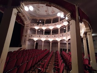 Teatro Gioco Vita Srl