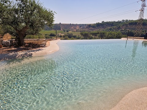 Professione Piscine S.n.c.