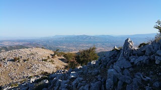 Monte Lupone