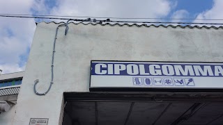 Cipolgomma