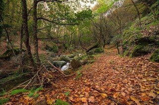 Riserva Naturale Orientata Bosco di Malabotta. Rocche d'Argimusco