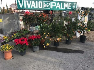 Vivaio le due Palme