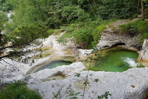 Parco Nazionale delle Dolomiti Bellunesi