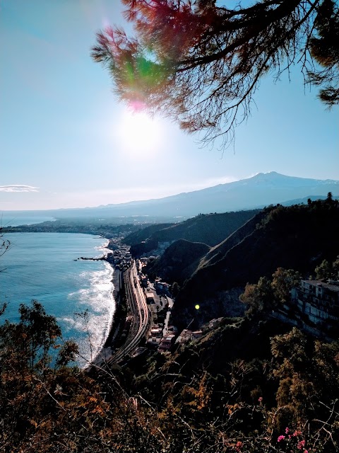 I Viaggi del Cavallino