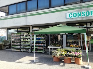 Ponte di Piave | CONSORZIO AGRARIO di TV/BL