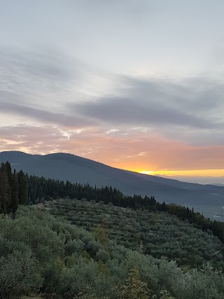 Colorificio Casini