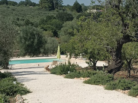 Trulli Pietraverde Guest House