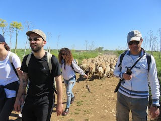 Masseria Tarantini