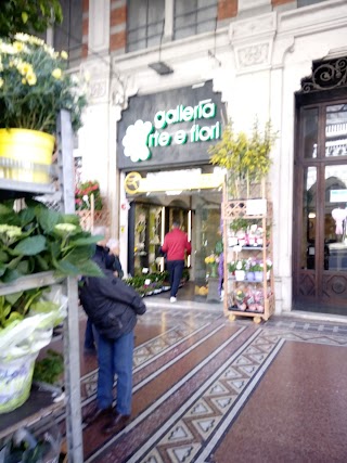 Artefiori Genova