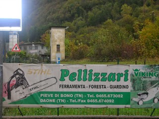 Pellizzari Rinaldo