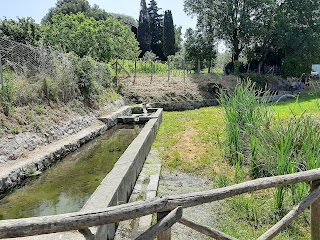 Parco della Sorgente di Fossato Callo