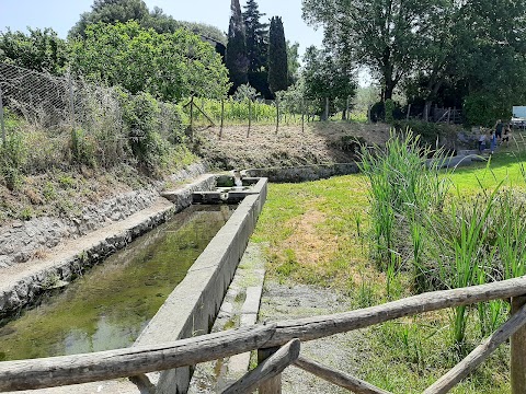 Parco della Sorgente di Fossato Callo