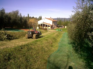 IL CIGLIERE Restored Barn in Tuscan Countryside